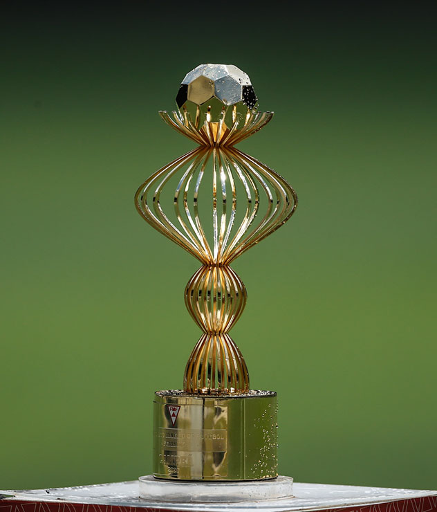 Campeonato Mineiro Feminino